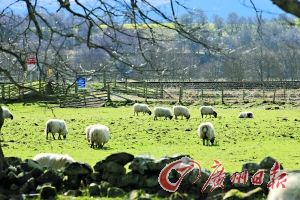 ����Ȧ������ߵ،����ڡ�ӛ