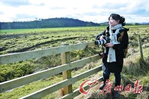 ����(b��o)ӛ�߱����K���m�ߵ�������ľ�|(zh��)��ڵ�ԭ����