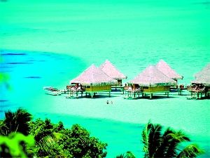 ���R��������������{ɫ������