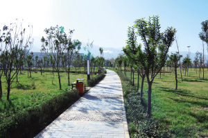 �����ֵ����e�V��(ch��ng)