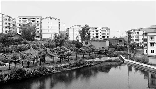 ���������(zh��n)�m�@���r(n��ng)���¾���ӛ��