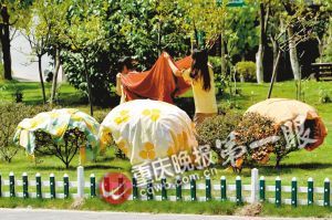 �G���������������ؓ(f��)��(d��n)����ѽ��