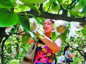 �������·����ҵ���@ժ�����ؑc���������x��ӛ��