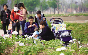 �����mĵ����(ji��)�_�����о����p��ʢ��