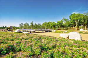 �����m��(gu��)���zַ���@�ɞ��������e������ʥ��